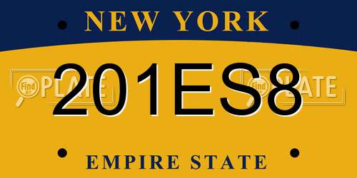 201ES8 New York License Plate