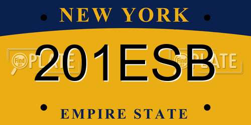 201ESB New York License Plate