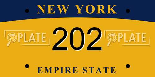 202 New York License Plate