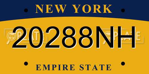 20288NH New York License Plate