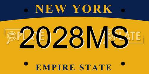 2028MS New York License Plate