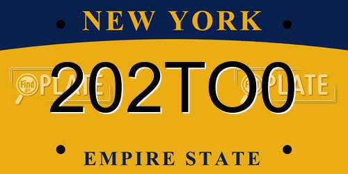 202TO0 New York License Plate