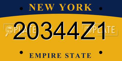 20344Z1 New York License Plate