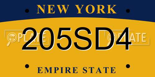 205SD4 New York License Plate