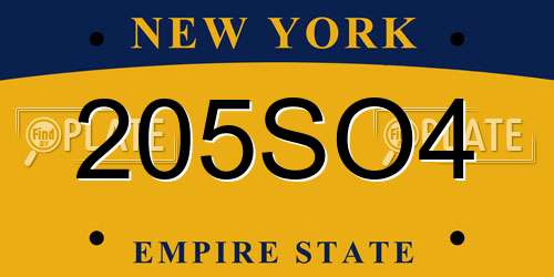205SO4 New York License Plate