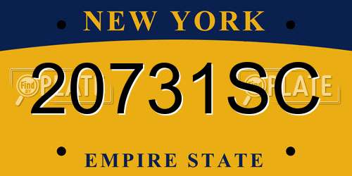 20731SC New York License Plate