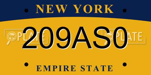 209AS0 New York License Plate
