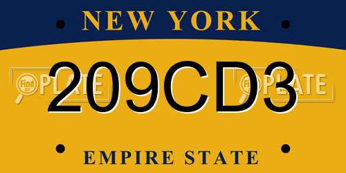 209CD3 New York License Plate
