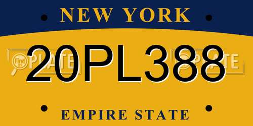 20PL388 New York License Plate