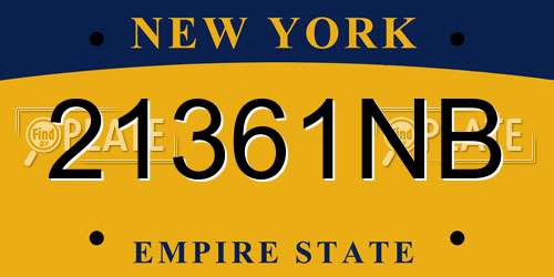 21361NB New York License Plate