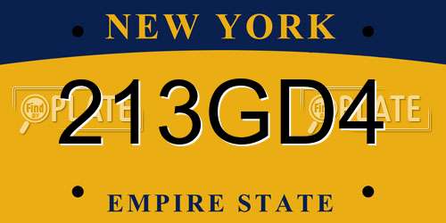 213GD4 New York License Plate