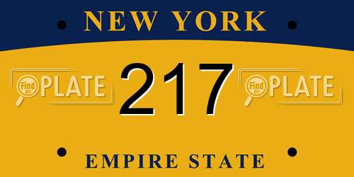 217 New York License Plate