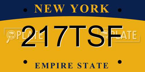 217TSF New York License Plate