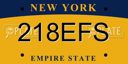 218EFS New York License Plate