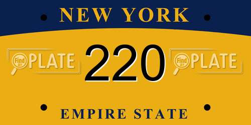 220 New York License Plate