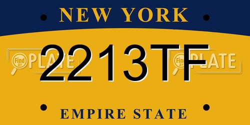 2213TF New York License Plate