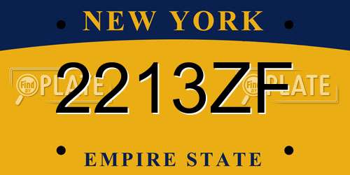 2213ZF New York License Plate