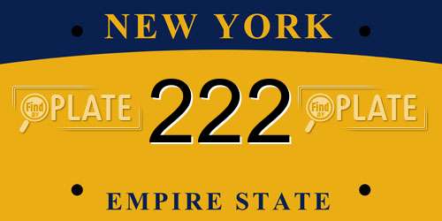 222 New York License Plate