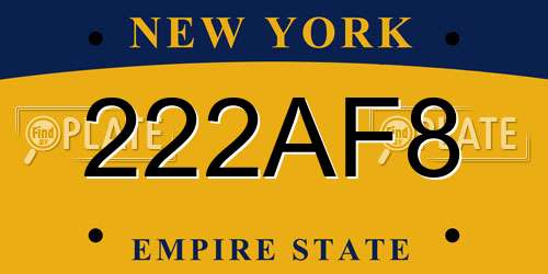 222AF8 New York License Plate