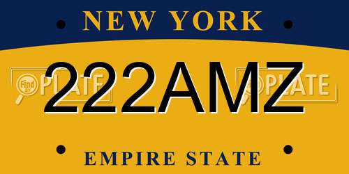 222AMZ New York License Plate