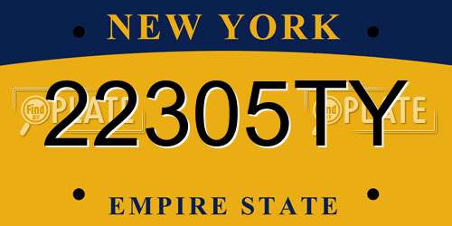 22305TY New York License Plate