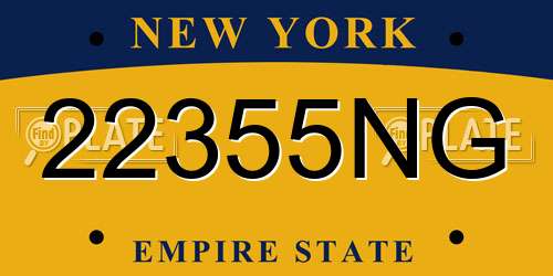 22355NG New York License Plate