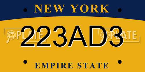 223AD3 New York License Plate
