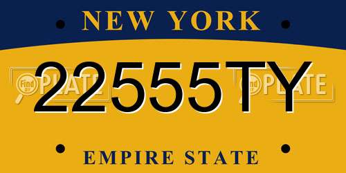22555TY New York License Plate