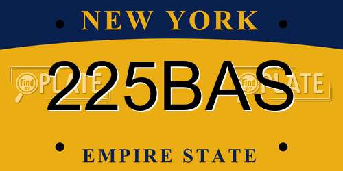 225BAS New York License Plate