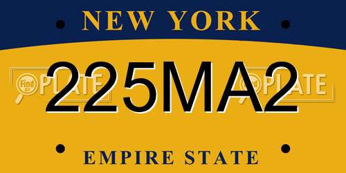 225MA2 New York License Plate