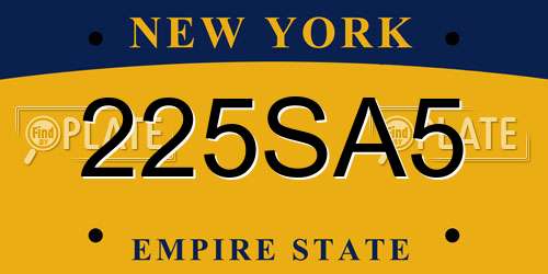 225SA5 New York License Plate