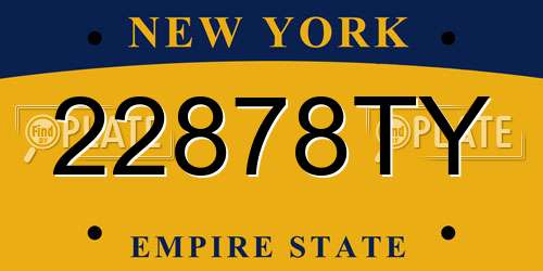 22878TY New York License Plate