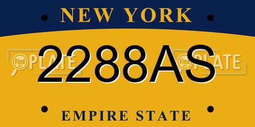 2288AS New York License Plate