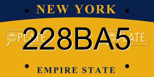 228BA5 New York License Plate