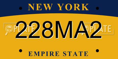 228MA2 New York License Plate