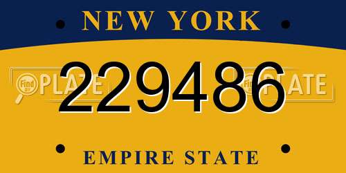 229486 New York License Plate