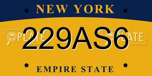 229AS6 New York License Plate