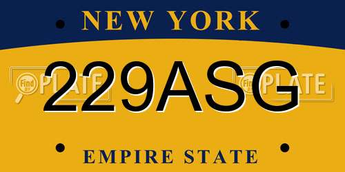 229ASG New York License Plate