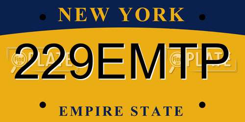 229EMTP New York License Plate