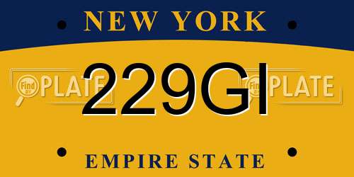229GI New York License Plate