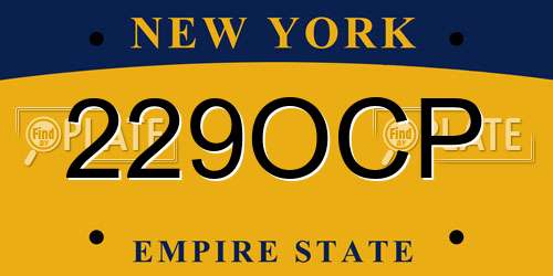 229OCP New York License Plate