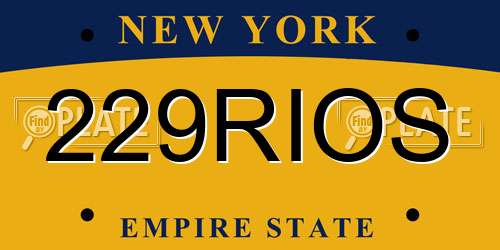229RIOS New York License Plate