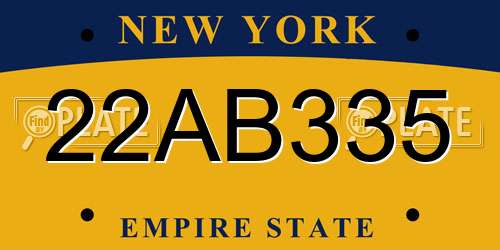 22AB335 New York License Plate