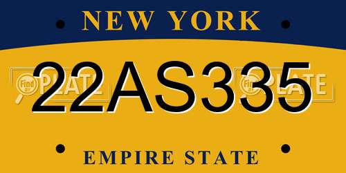 22AS335 New York License Plate