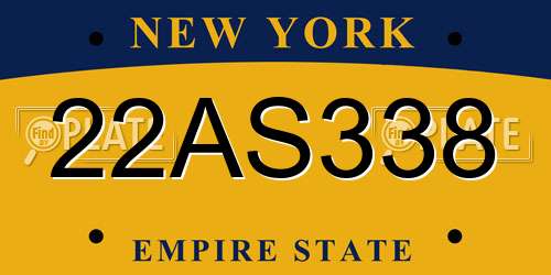 22AS338 New York License Plate