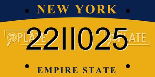 22II025 New York License Plate