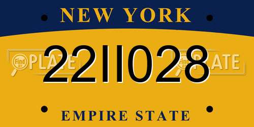 22II028 New York License Plate