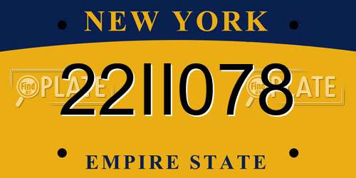 22II078 New York License Plate