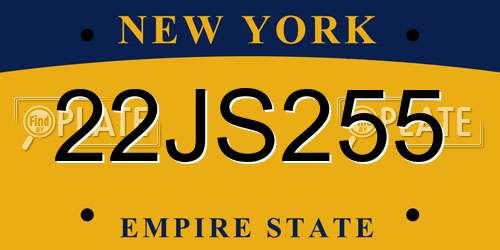 22JS255 New York License Plate