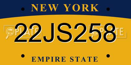 22JS258 New York License Plate